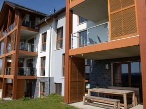 Luxurious apartment in Winterberg-Neuastenberg with private sauna